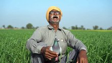 Jab kisan ko kabootar milta hai
