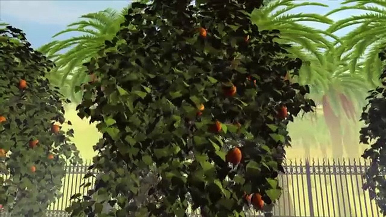 قصص الإنسان في القرآن _ الحلقة 13 _ أصحاب الجنة...
