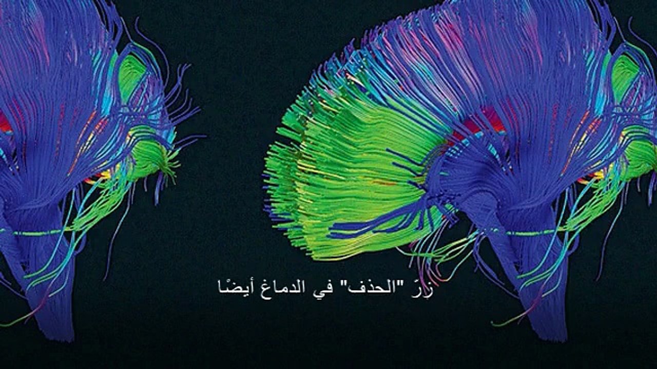 زرّ "الحذف" في الدماغ أيضًا!