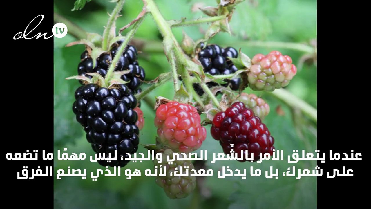 5 أطعمة تساعد على نمو الشعر