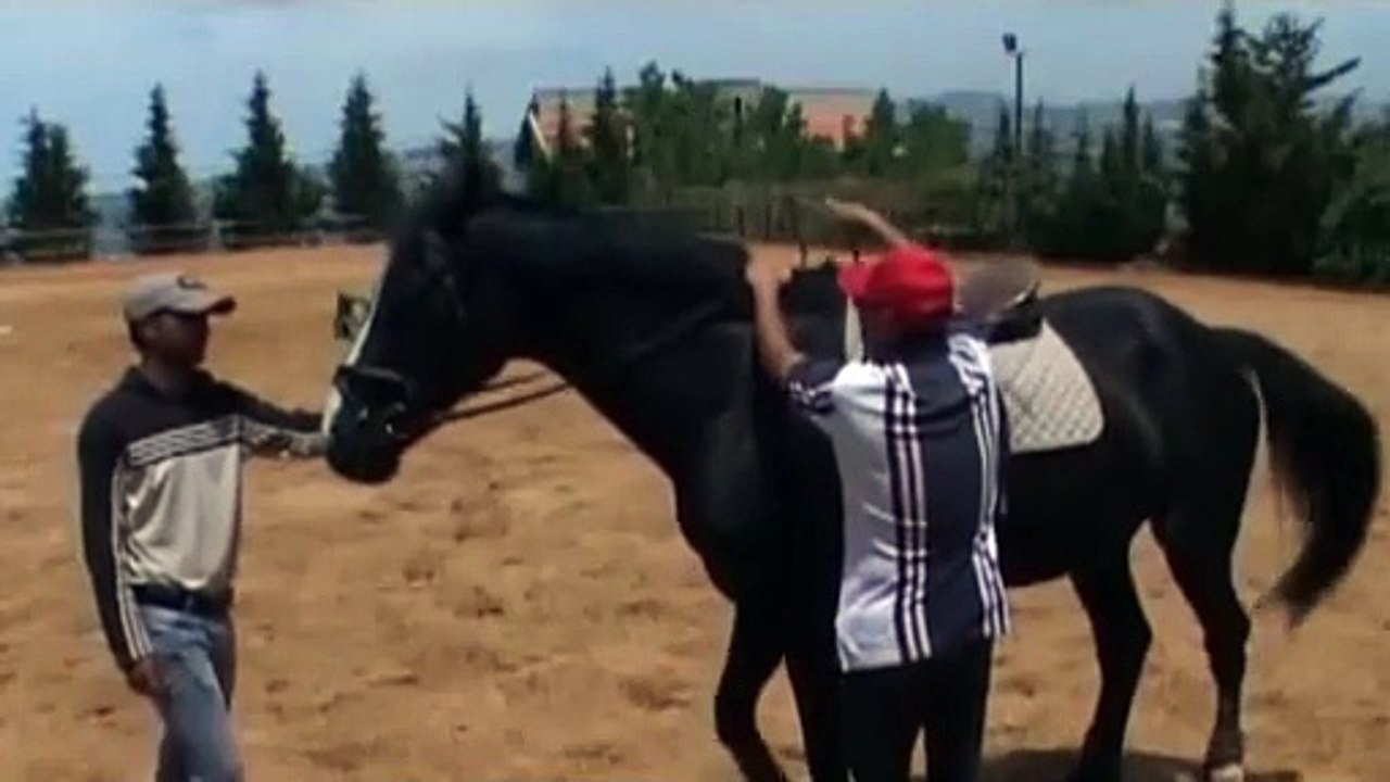 تعلّم ركوب الخيل خطوة بخطوة