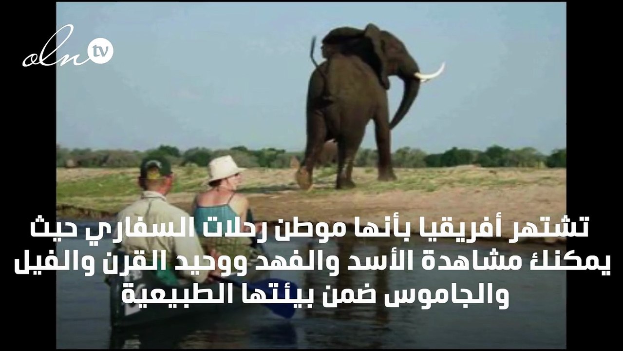 أشهر عشر وجهات مثالية لرحلات السفاري في أفريقيا