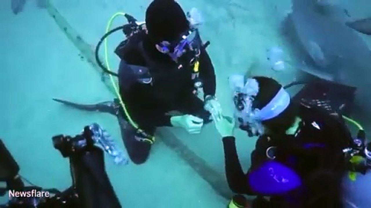 يطلب يدها للزواج .. في أعماق المحيط