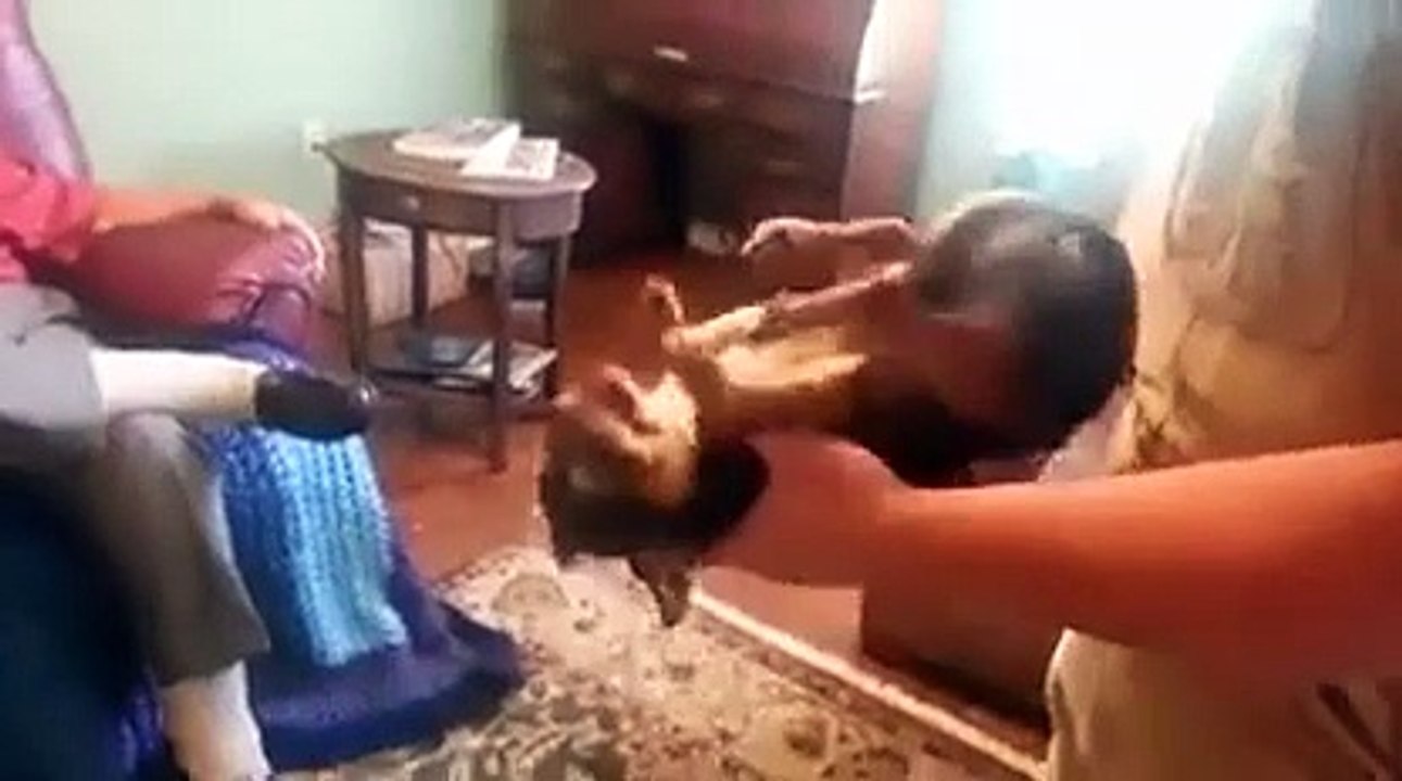 بالفيديو .. كلب مخلص لصاحبه حد إدعاء الموت