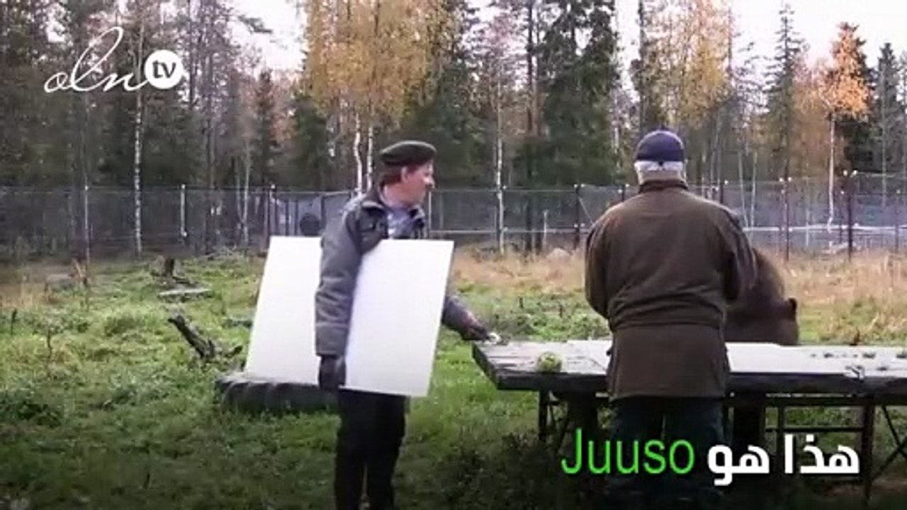 الدب الرسام ... لوحاته بسيطة ومطلوبة