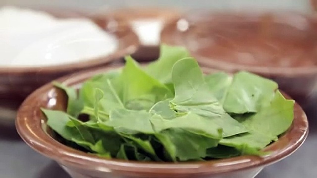 Amazing in motion من Lexus