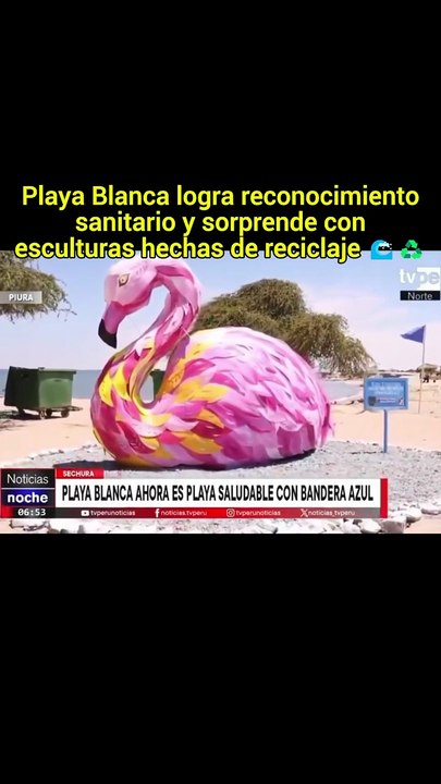Playa Blanca logra reconocimiento sanitario y sorprende con esculturas hechas de reciclaje 🌊♻️