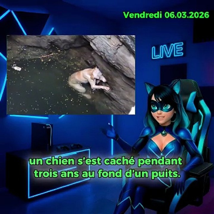 Un chien chinois a montré un exemple de la manière d’échapper à une attention excessive.