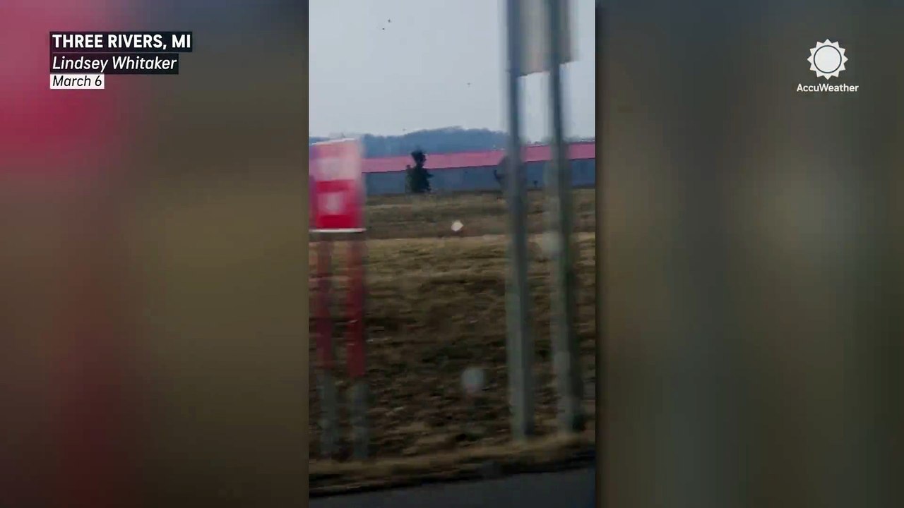 Suspected tornado blows the roofs off buildings in Michigan