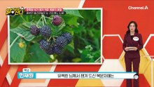 대장 종양 92% 감소에 도움?! 복분자 속 안토시아닌의 뛰어난 항암 효과