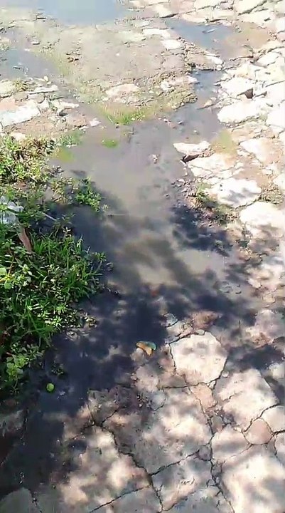 Morador cobra solução para problema de esgoto a céu aberto em rua no bairro Jardim Bela Vista, em Patos