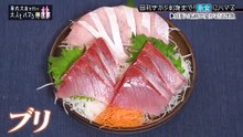 華丸大吉が行く！大人もハマる神授業 「目利きから刺し身まで！魚食にハマる！」 - 2026年03月06日 (1)