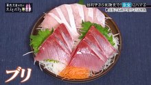 華丸大吉が行く！大人もハマる神授業 「目利きから刺し身まで！魚食にハマる！」 - 2026年03月06日