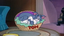 Tom And Jerry - 074 - Jerry And Jumbo (1953)