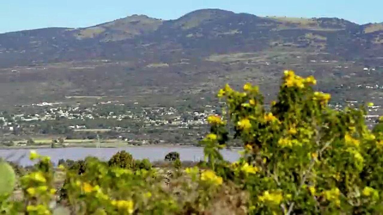 100. Mi Adorable Maldicion