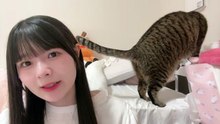近藤海琴 SKE48 2026-02-25 18_00 SHOWROOM