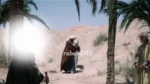 d95d829a8f5b50d199276a52fd615666