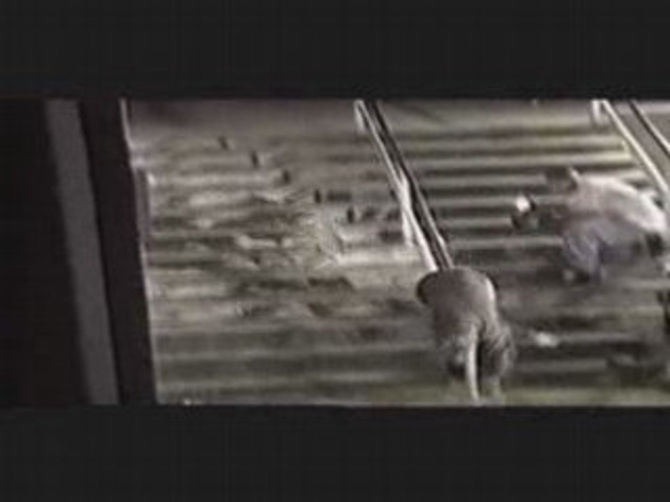 Bam Margera -Skateboard Accident