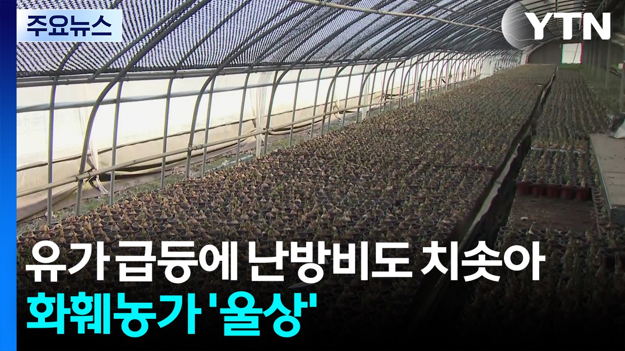 유가 급등에 난방비도 치솟아...화훼농가 '울상' / YTN
