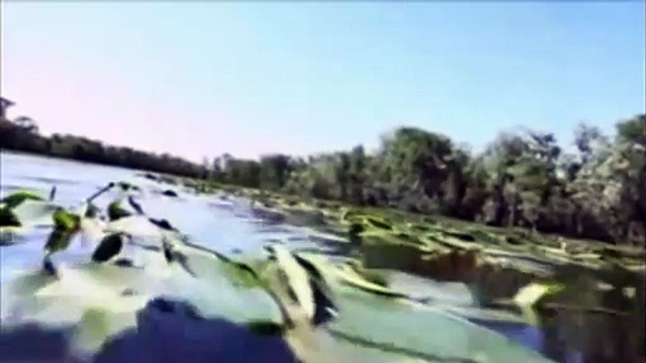 Creature - Die Legende vom Monster aus dem Sumpf Trailer deutsch