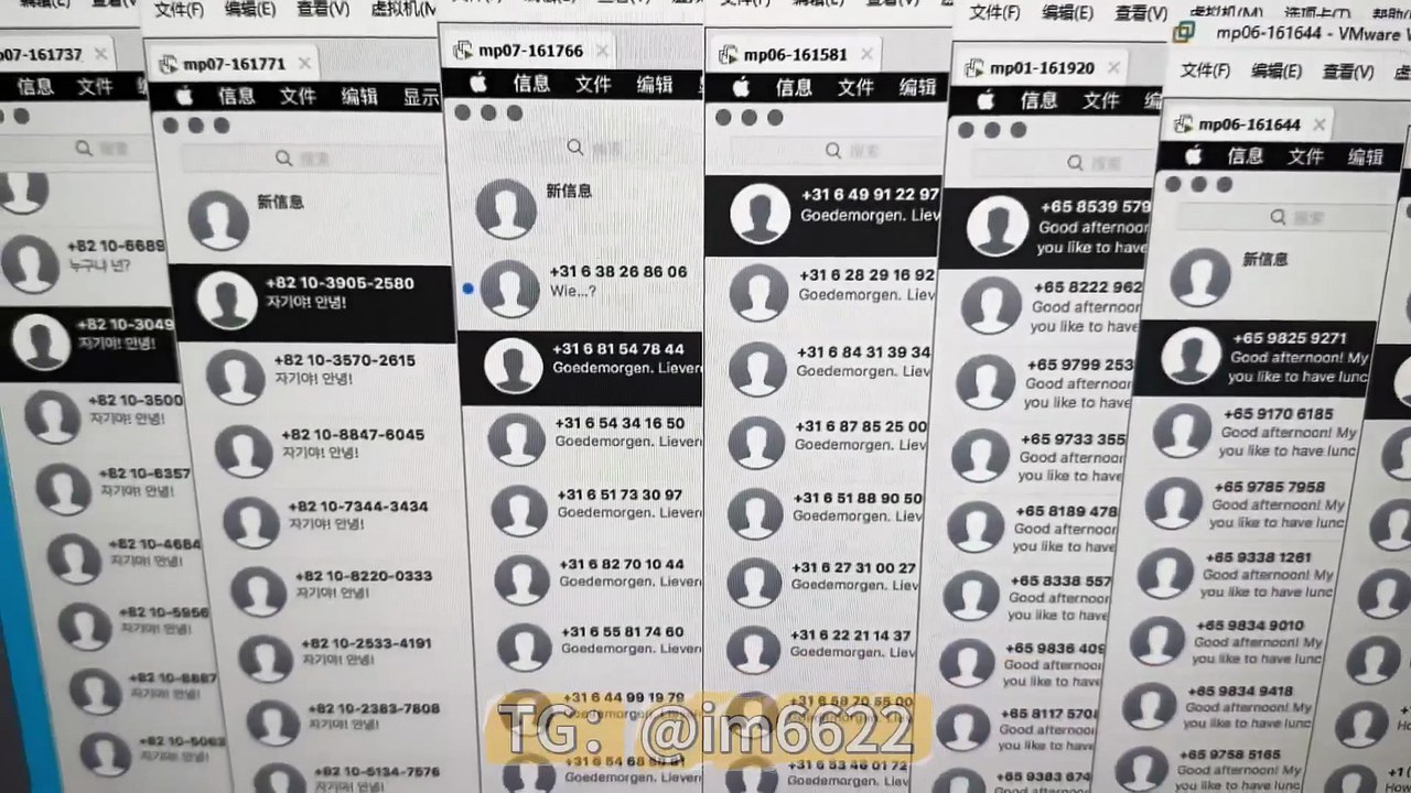 电脑协议版iMessage群发系统，一键全自动群发全球iMessage短信，精准送达秒落地，群发落地后支持精聊回复，搭建认准TG客服:@im6622 #苹果iMessage短信 #iMessage群发 #iMessage自动发信 #iMessage短信营销