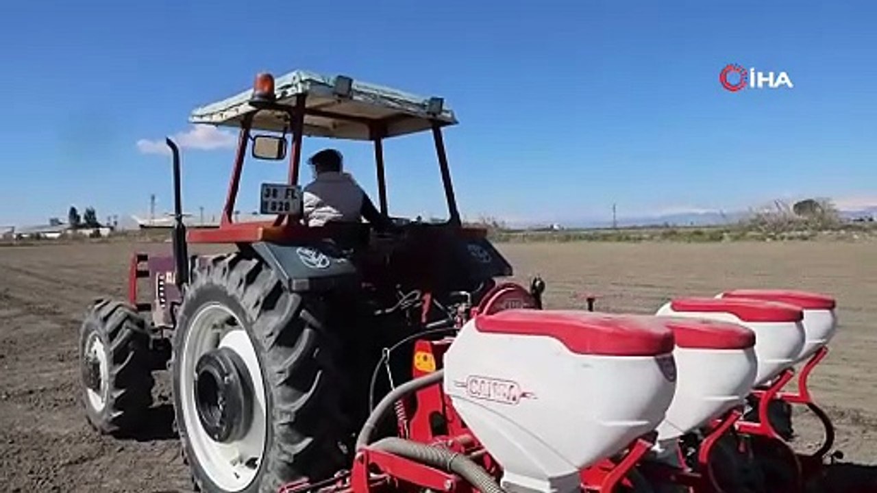 Çukurova’nın bereketli toprakları mısır ve ayçiçeği tohumları ile buluştu