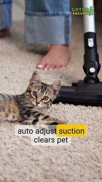 Gator Vacuum Guide Best Vacuum Cleaners for Pet Owners