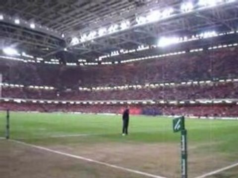 Supporters de choc 2-Finale HCup Cardiff Toulouse Munster