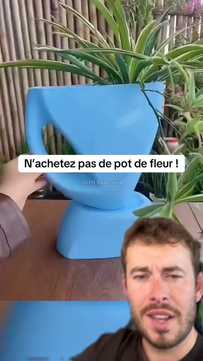 Vous aimez ?