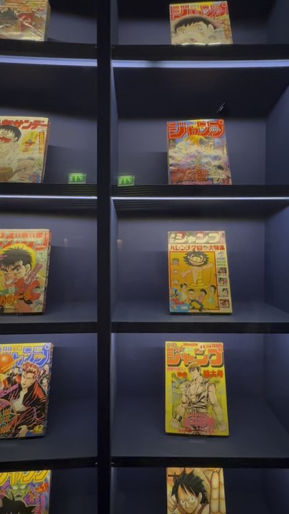 Retour sur l’expo mangas tout un art