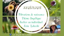Bonjour. Vous êtes les bienvenus à la conférence de l'angeologie de la Magie De Laure le 12 mars à l' école Buissonnière Sallertaine à 19 h 30 Réservations ☎️ au 06 08 48 06 93 Merci d' avance