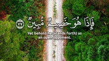 ﴿ أَوَلَمْ يَرَ الْإِنْسَانُ أَنَّا خَلَقْنَاهُ مِنْ نُطْفَةٍ فَإِذَا هُوَ خَصِيمٌ مُبِينٌ ﴾