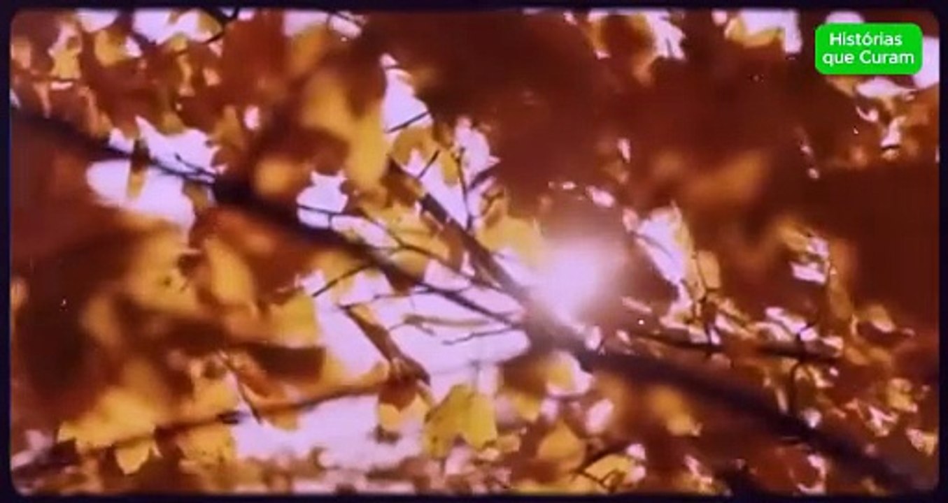 O PRIMEIRO AMOR QUE VIROU SOMBRA - DUBLADO EM PORTUGUÊS