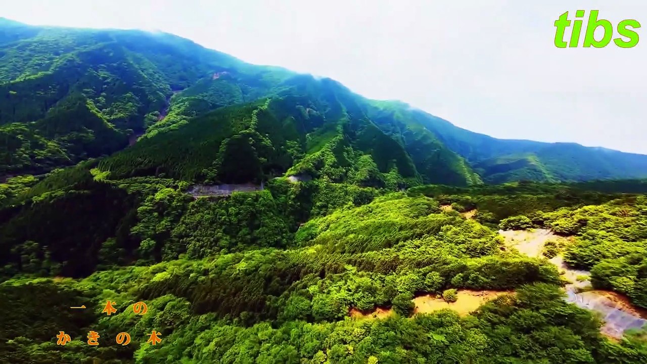 （たおやかインターネット放送)えほんの時間作；小川未明一本のかきの木A single persimmon tree