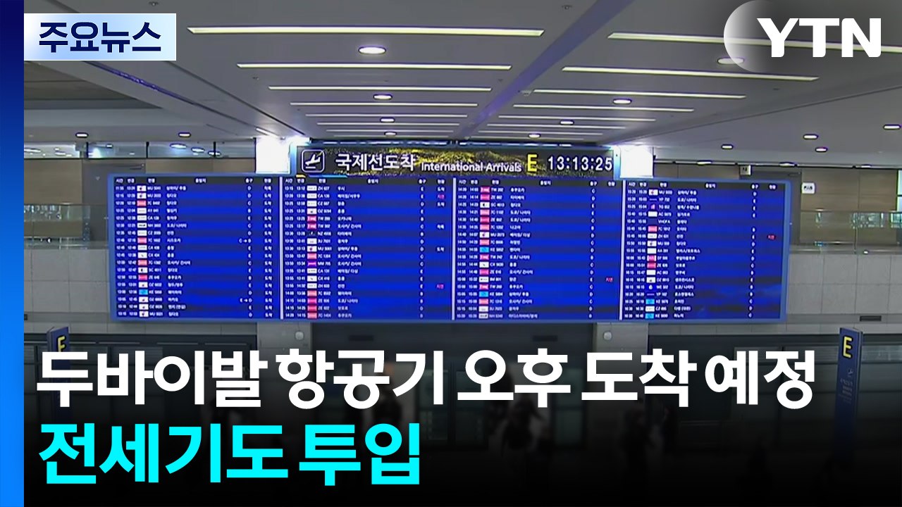 두바이발 항공기 오후 도착 예정...전세기도 투입 / YTN