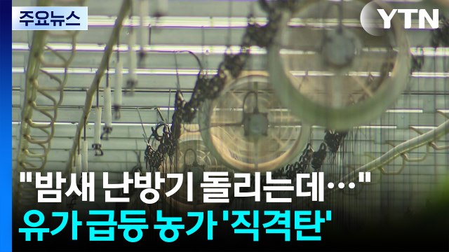 밤새 난방기 돌리는데... 유가 급등 농가 '직격탄' / YTN