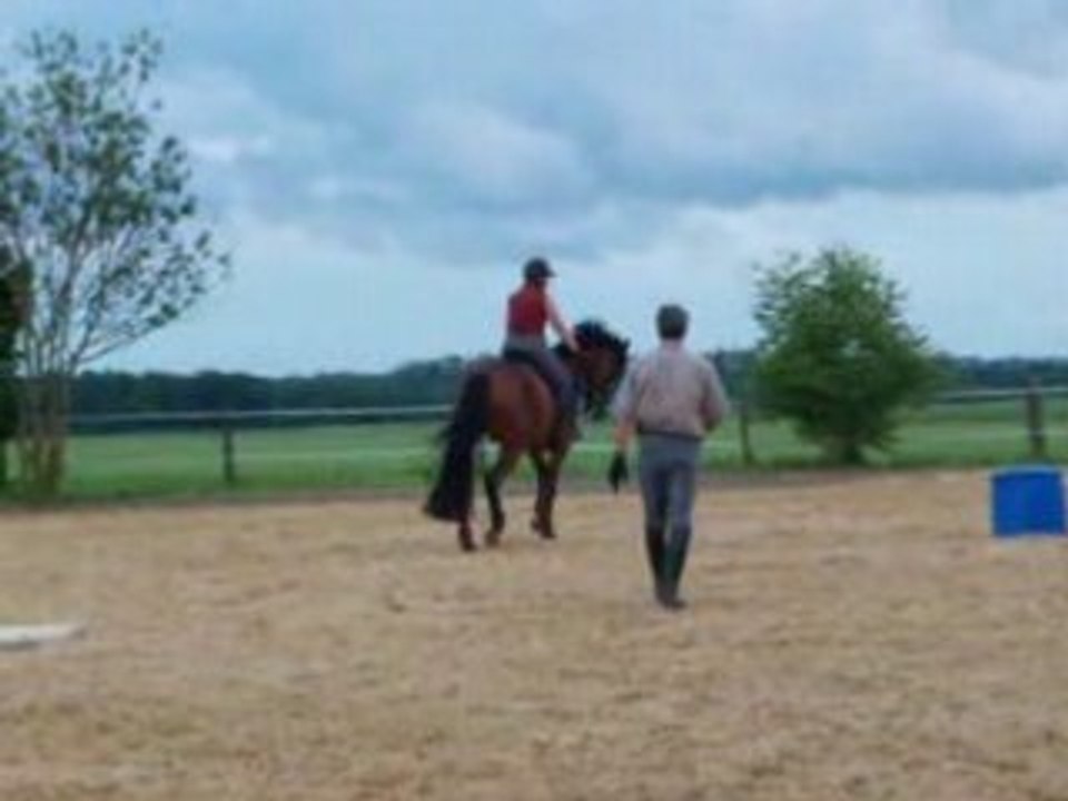Prince trot