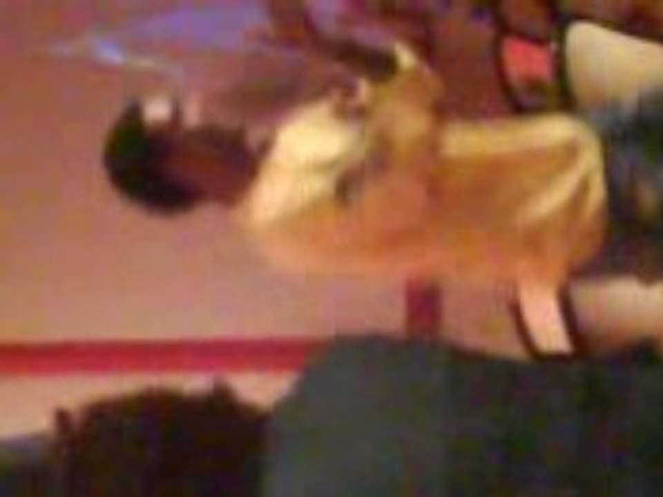 Borj Cedria - Tunisie (2008) Vidéo #26