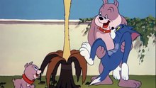 Tom And Jerry - 076 - That's My Pup (1953)