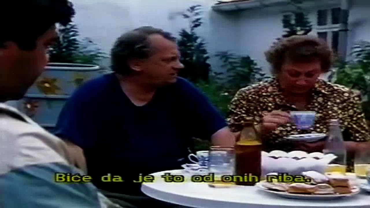 Svedski aranzman (1989) / Domaci film , serija 1. DEO