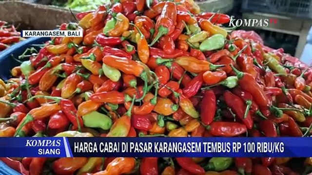 Harga Cabai Rawit di Karangasem Bali Tembus Rp100 Ribu per Kilogram, Ini Sebabnya! | KOMPAS SIANG