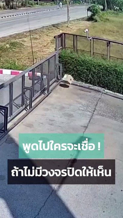 เมื่อไรเดอร์บอกส่งแล้ว พอเปิดกล้องดูเจอแล้วตัวการ...