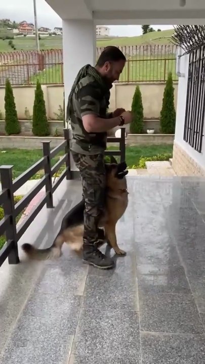 How German shepherd -care  German shepherd dog -German shepherd -puppies -price  German shepherd -for -sales  German shepherd -reviews 🐾🐾🐾🐾🐾🐾🐩🐩🐩🐩🐩please like subscribe follow me please