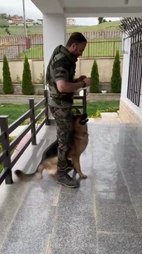 How German shepherd -care German shepherd dog -German shepherd -puppies -price German shepherd -for -sales German shepherd -reviews 🐾🐾🐾🐾🐾🐾🐩🐩🐩🐩🐩please like subscribe follow me please