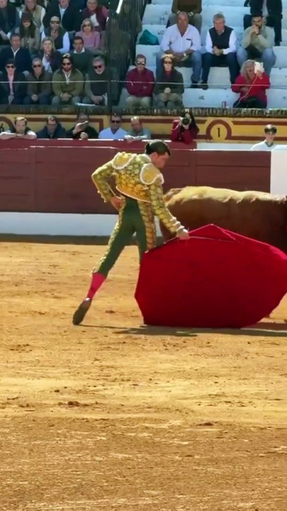 El "tomasismo" más puro en la impactante faena de David de Miranda al segundo toro de la mañana en Olivenza