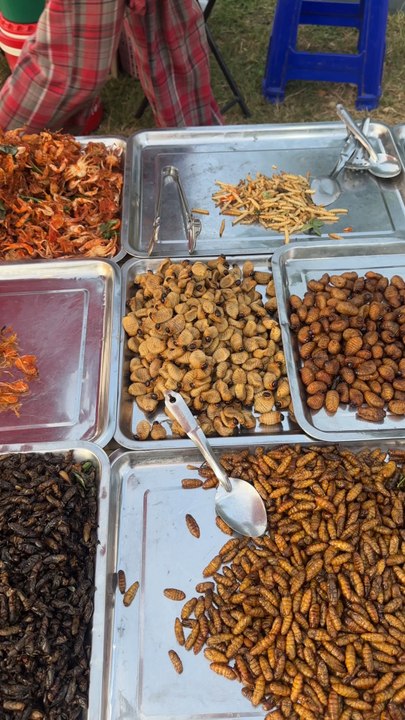 Manger des nids d’abeilles ?