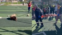 Sultangazi’de futbol sahasında pitbullar birbirine saldırdı