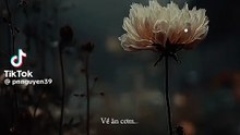 v24044gl0000d60asl7og65p2bdjt1k0