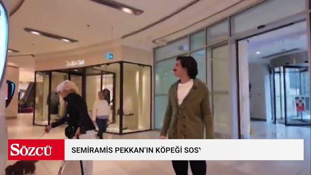 Dünyada gündem savaş iken bizim sosyal medyamızda Semiramis Pekkan'ın köpeği konuşuluyor