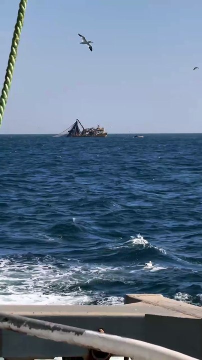 🌻Nature , Ocean and Fishing 🌻fishing life